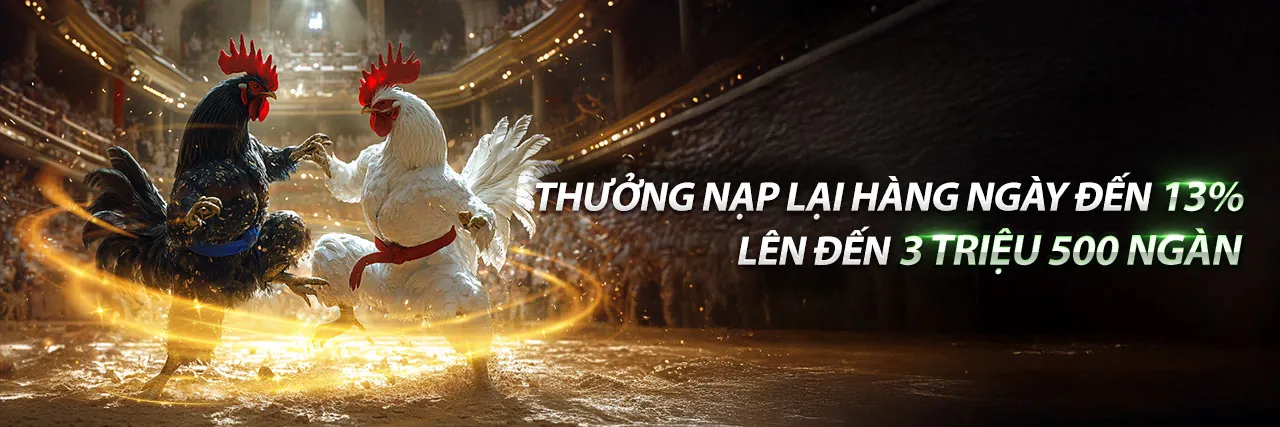 Chương trình VIP độc quyền của dg88 nhà cái